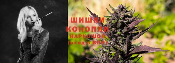 spice Арсеньев