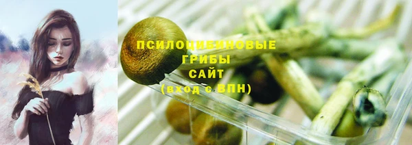 spice Арсеньев