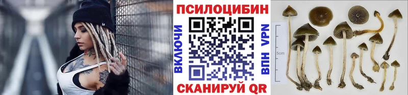 закладки  Лянтор  Псилоцибиновые грибы мухоморы 