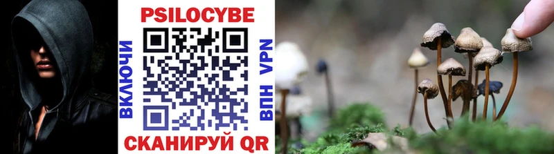 Псилоцибиновые грибы ЛСД Лянтор